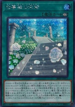 White Rose Cloister (V.3 - Secret Rare)