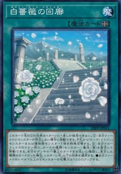 White Rose Cloister (V.1 - Common)