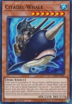 Citadel Whale