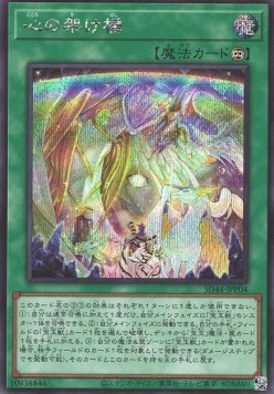 Rainbow Bridge of the Heart (V.2 - Secret Rare)