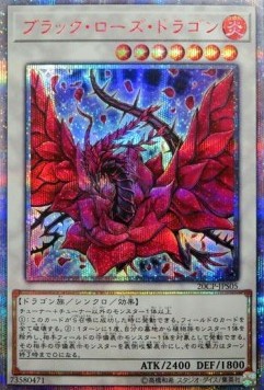 Black Rose Dragon