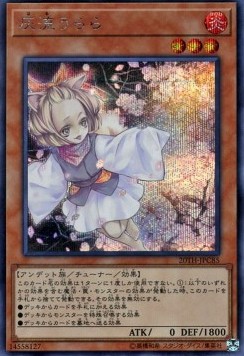 Ash Blossom & Joyous Spring (V.1 - Secret Rare)