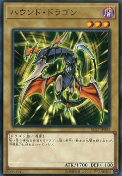 Hunter Dragon