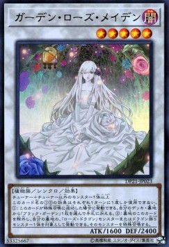 Garden Rose Maiden