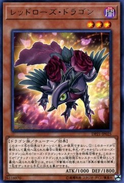 Red Rose Dragon