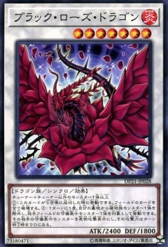 Black Rose Dragon