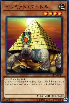 Pyramid Turtle