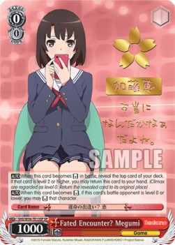 Fated Encounter? Megumi (V.2 - Special Rare)