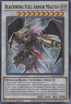 Blackwing Full Armor Master