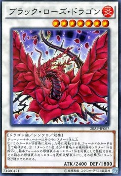 Black Rose Dragon