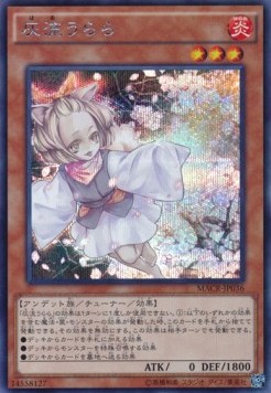 Ash Blossom & Joyous Spring (V.2 - Secret Rare)