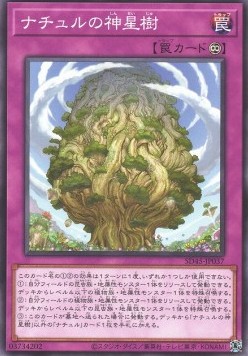 Naturia Sacred Tree