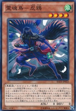 Shinobird Crow