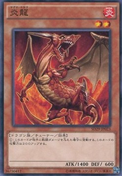 Magna Drago