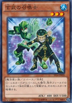 Green Turtle Summoner