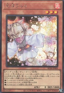 Ash Blossom & Joyous Spring (V.2 - Secret Rare)