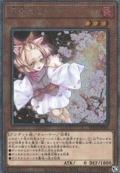 Ash Blossom & Joyous Spring (V.5 - Extra Secret Rare)