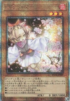 Ash Blossom & Joyous Spring (V.6 - Quarter Century Secret Rare)