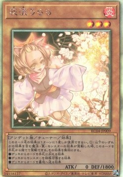 Ash Blossom & Joyous Spring (V.7 - Holographic Rare)