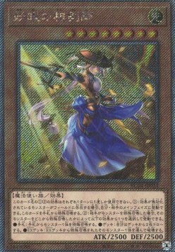 The Iris Swordsoul (V.5 - Extra Secret Rare)