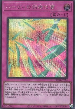 Harpie's Feather Storm (V.2 - Secret Rare)