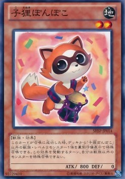 Baby Raccoon Ponpoko