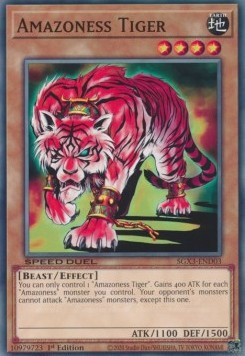 Amazoness Tiger