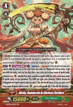 Ranunculus in Glorious Bloom, Ahsha [G Format] (V.1 - Generation Rare)