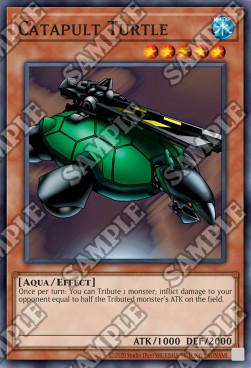 Catapult Turtle