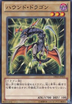 Hunter Dragon