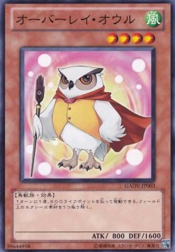 Overlay Owl