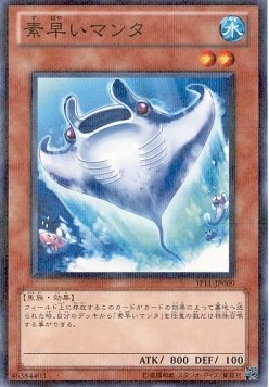 Nimble Manta