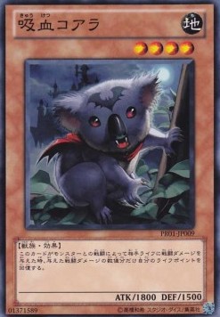 Vampiric Koala