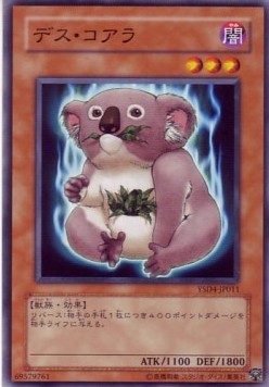 Des Koala