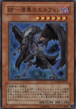 Blackwing - Elphin the Raven