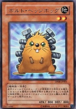 Quillbolt Hedgehog