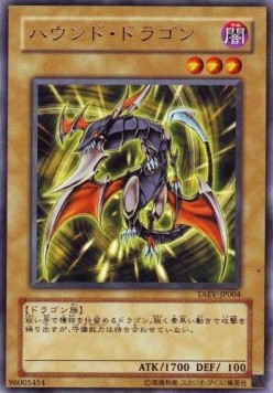 Hunter Dragon