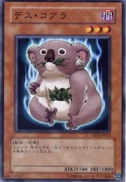 Des Koala