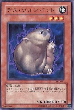 Des Wombat