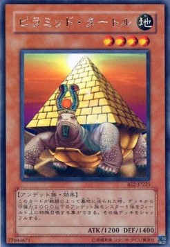 Pyramid Turtle