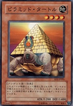 Pyramid Turtle