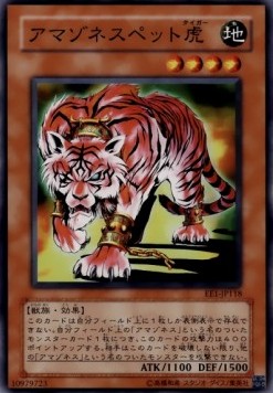 Amazoness Tiger