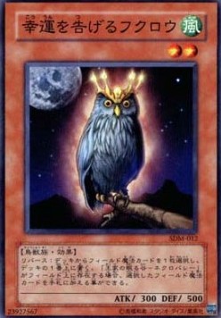 An Owl of Luck