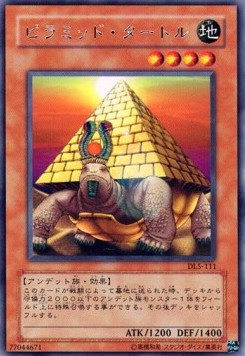 Pyramid Turtle