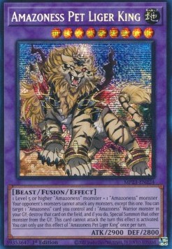 Amazoness Pet Liger King