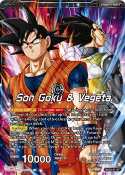 Son Goku & Vegeta // SSB Vegito, Shining Warrior