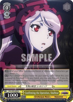 Confirming the Operation, Shalltear