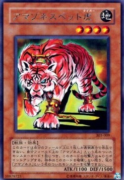 Amazoness Tiger