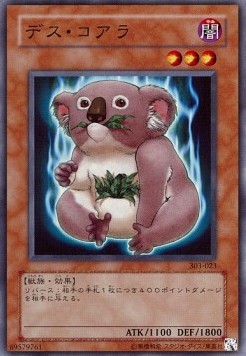 Des Koala