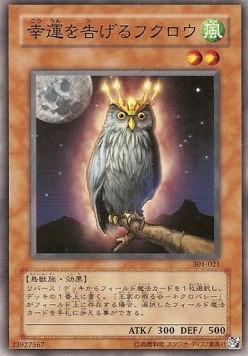 An Owl of Luck